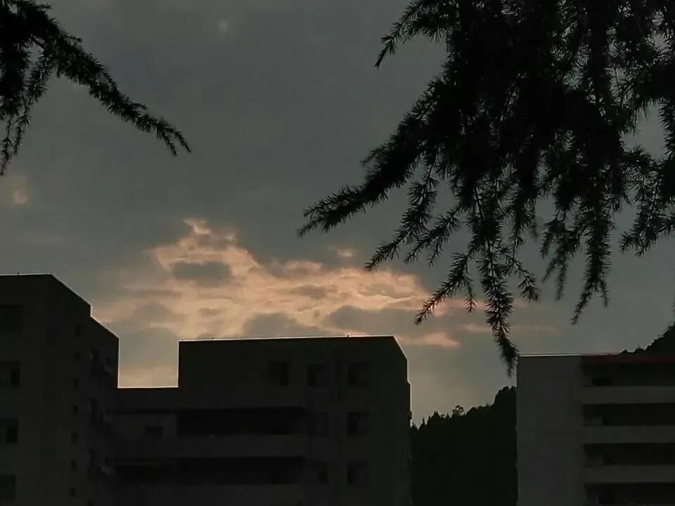 安徽省淮北师范大学录取分数线,安徽淮北十四中