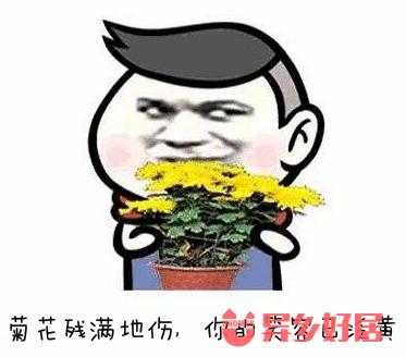 加拿大租房，皇后大学买买买必备精品攻略【二】