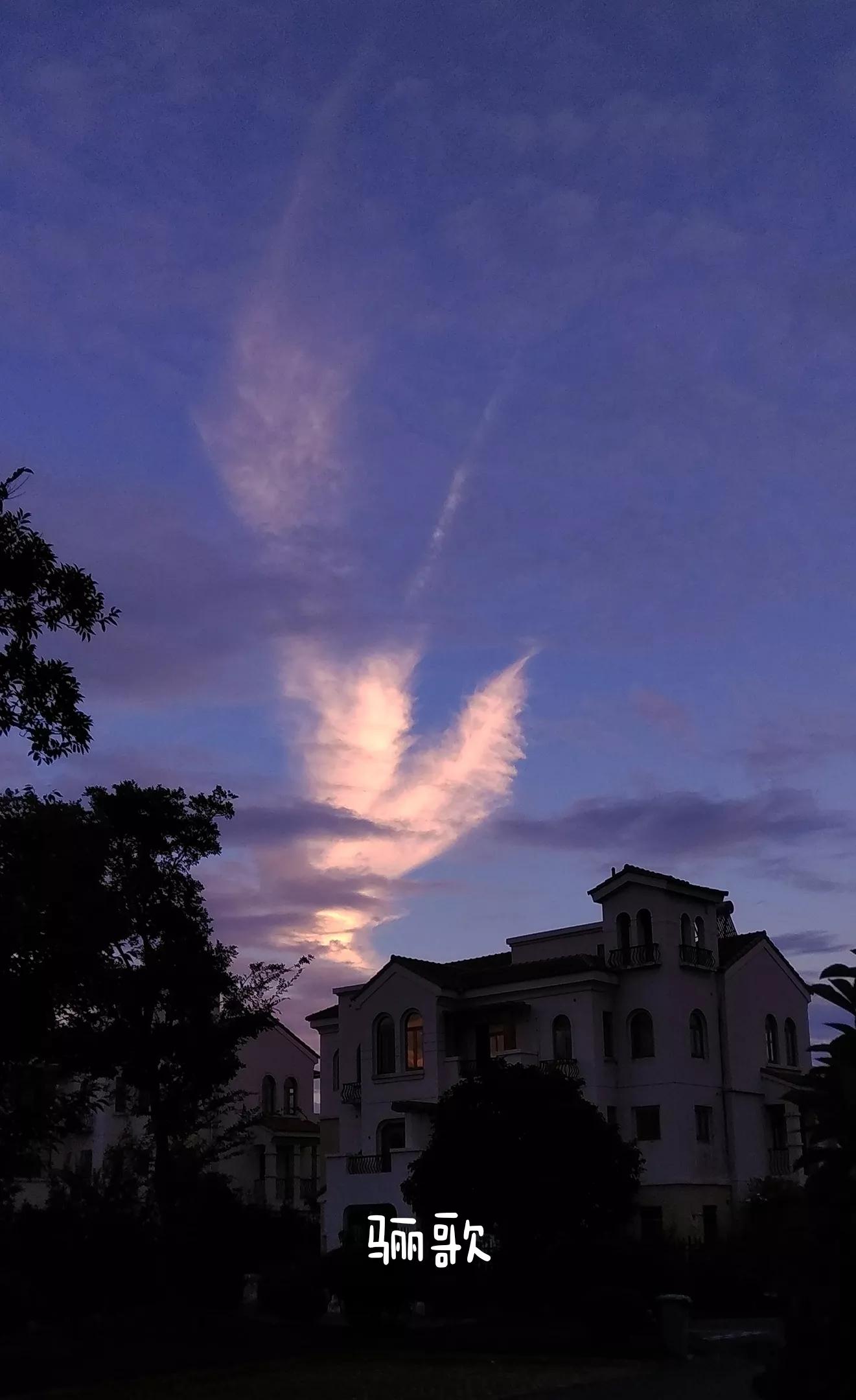 2020，我拍的奇云集锦