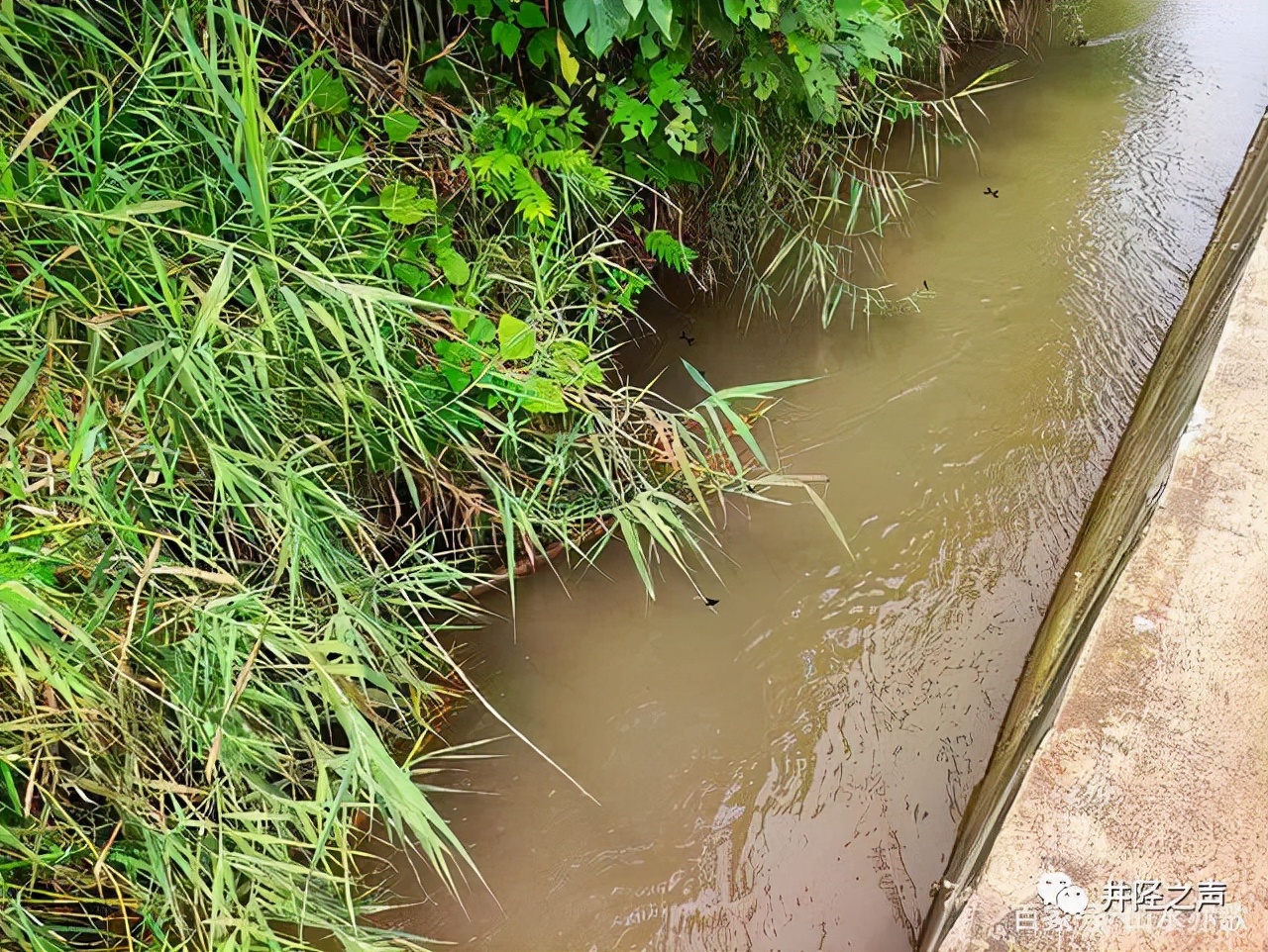 绵蔓河湿地经济带全长,井陉绵蔓河经济带重点村