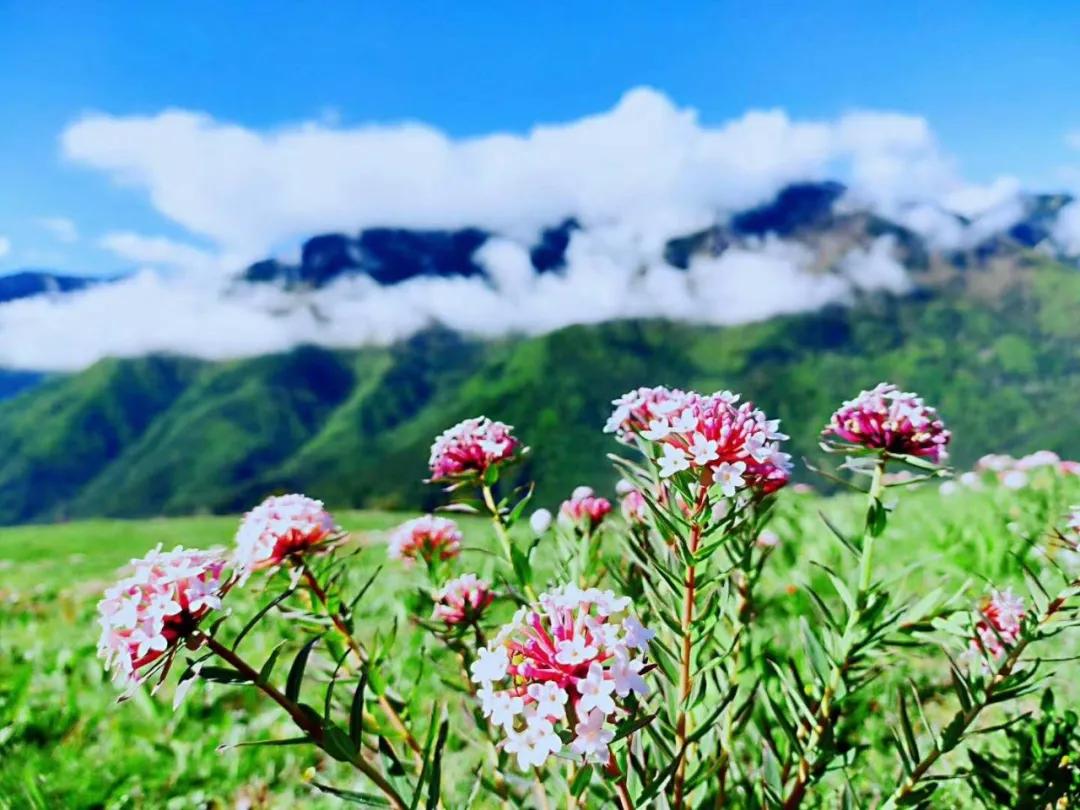 夏日叠词有哪些,夏日迭部
