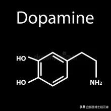 恋爱中的人智商真的会下降吗,恋爱时智商下降