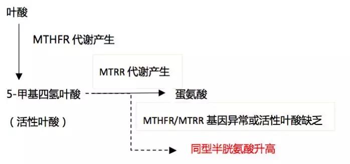 糖尿病饮食三部曲系列第二部,糖尿病系列第四篇