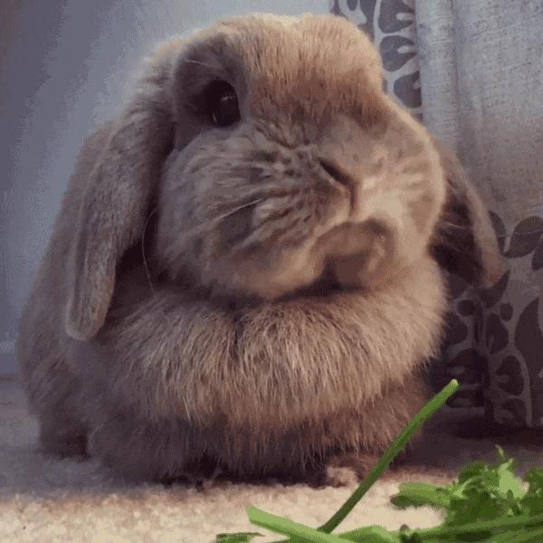 敏感肌的小仙女80%都是被它坑的