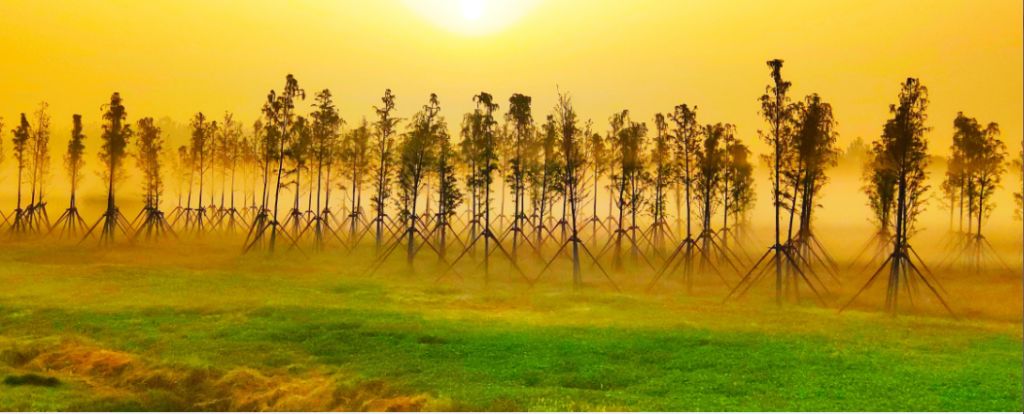 大美武湖图片,武湖烟涨