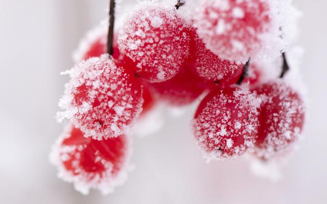 容易硬碰硬的四大星座,看似软柿子实际是硬茬的4个星座