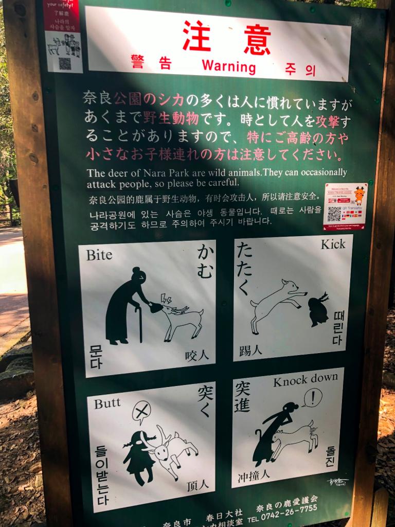 网红打卡景点奈良,日本奈良10大网红打卡景点