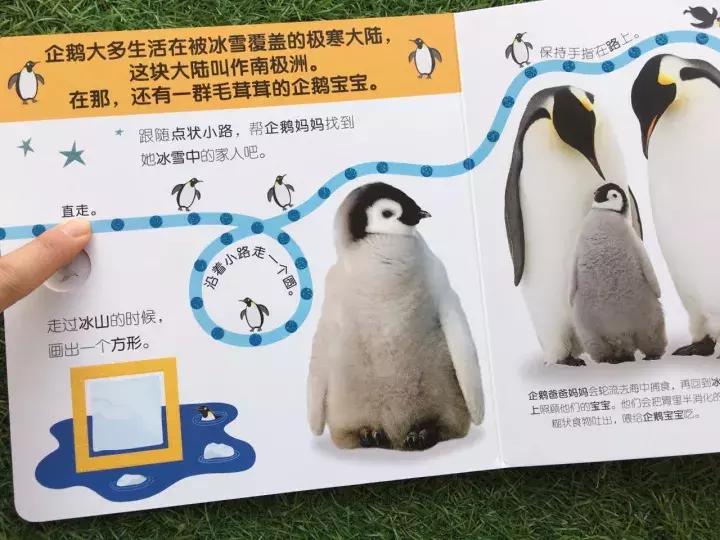 被封神的DK儿童科普书籍，到底哪些值得读？建议家长入手前看这篇