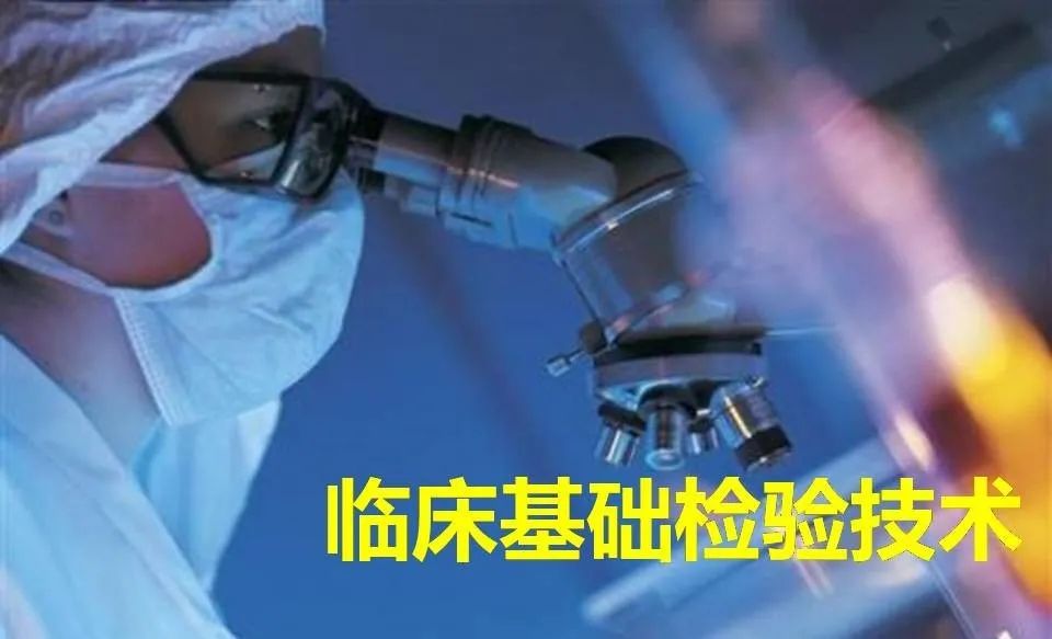 江苏大学国家级教学成果奖,江苏大学本科的课程表