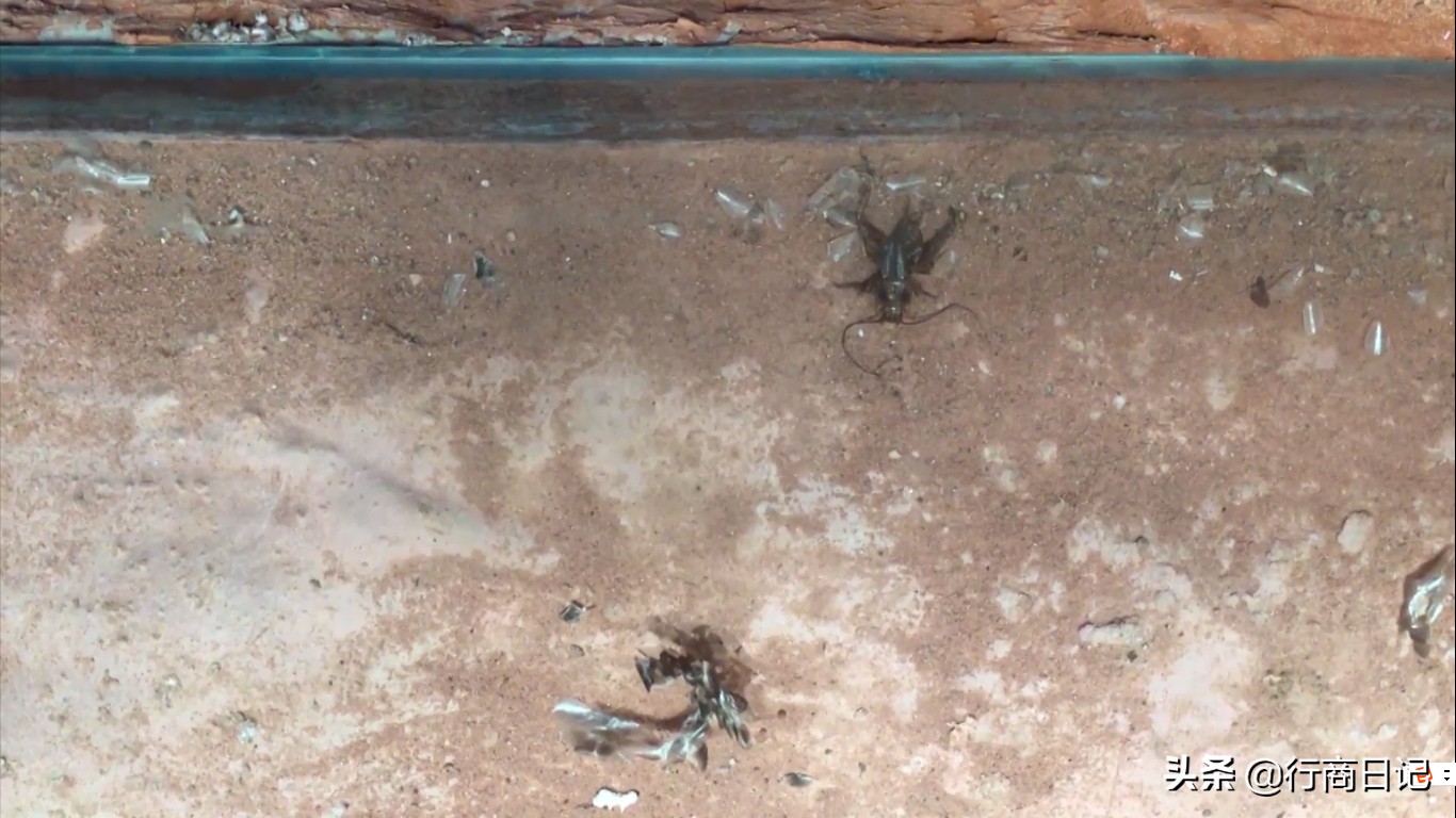 转一转:西单华威商场的潮铺街和约饭街,青春的味道