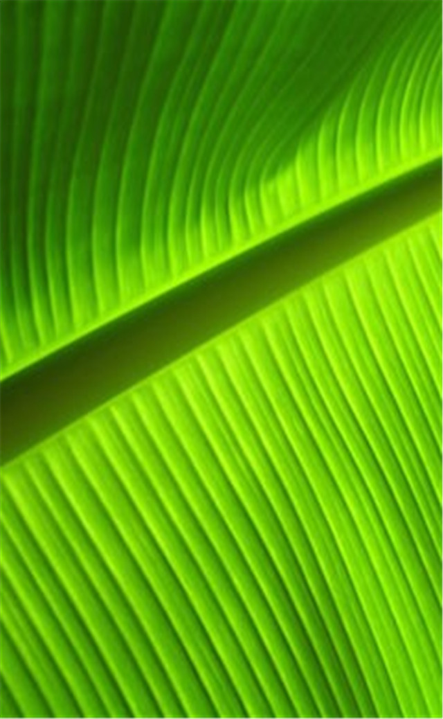 缓解眼睛疲劳壁纸颜色,缓解眼睛疲劳的壁纸高清