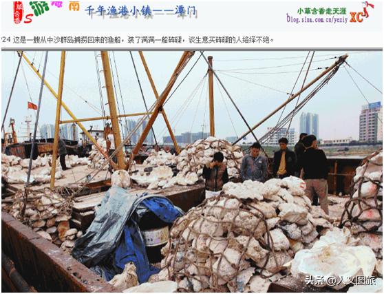 潭门博物馆镇馆之宝 (千年古港老潭门)