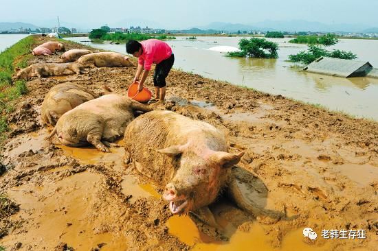 生存战争缺水了怎么办,生存战争遇到岩浆怎么办