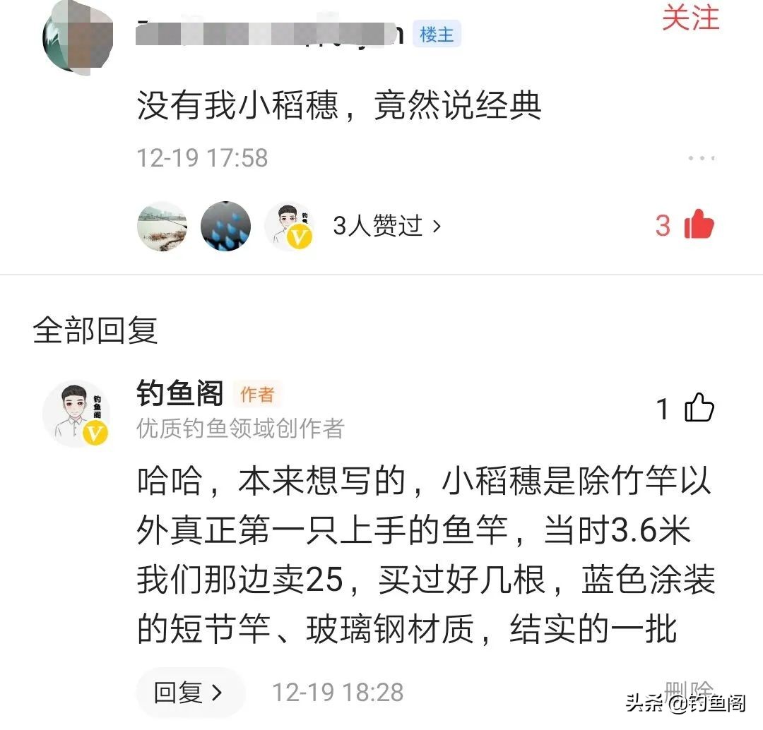 野钓小麦穗用短竿,小稻穗钓竿