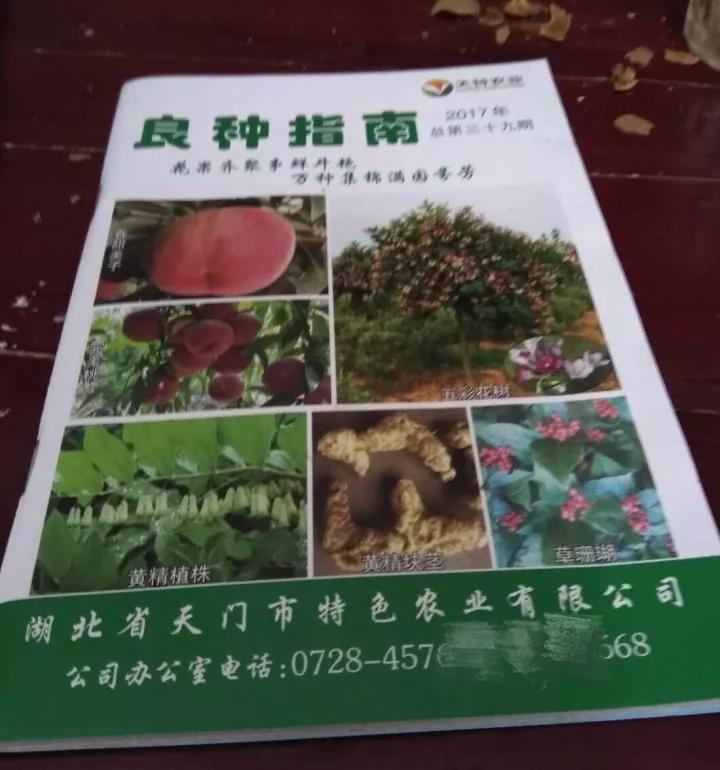 【深度长文】在不可描述的网站上打广告是一种神马体验?