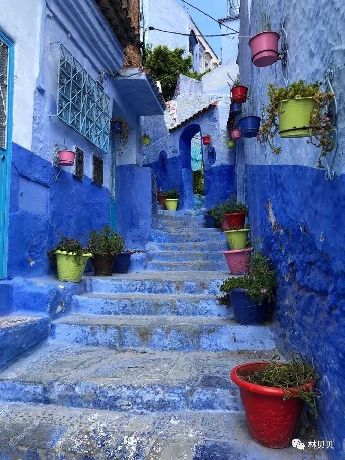 15天快速减肥10斤懒人,摩洛哥12天瘦5斤减肥成功案例