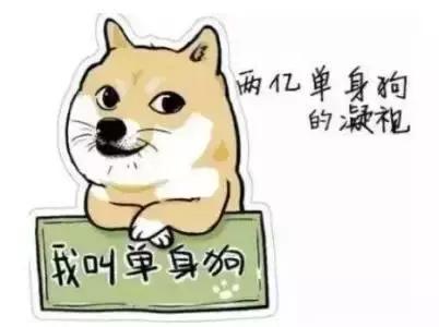 支付宝上线电子结婚证,七夕节引爆“单身经济”| 奇扒说0807