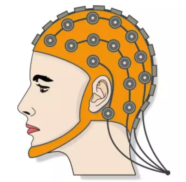 马斯克说预言15年后的地球,马斯克说可以让人永生的技术