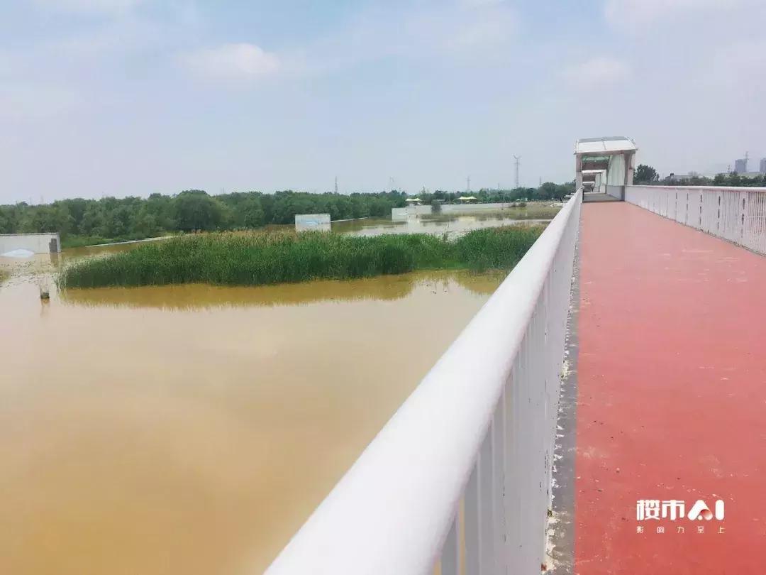 铁一中周边新楼盘,铁一中附近新楼盘