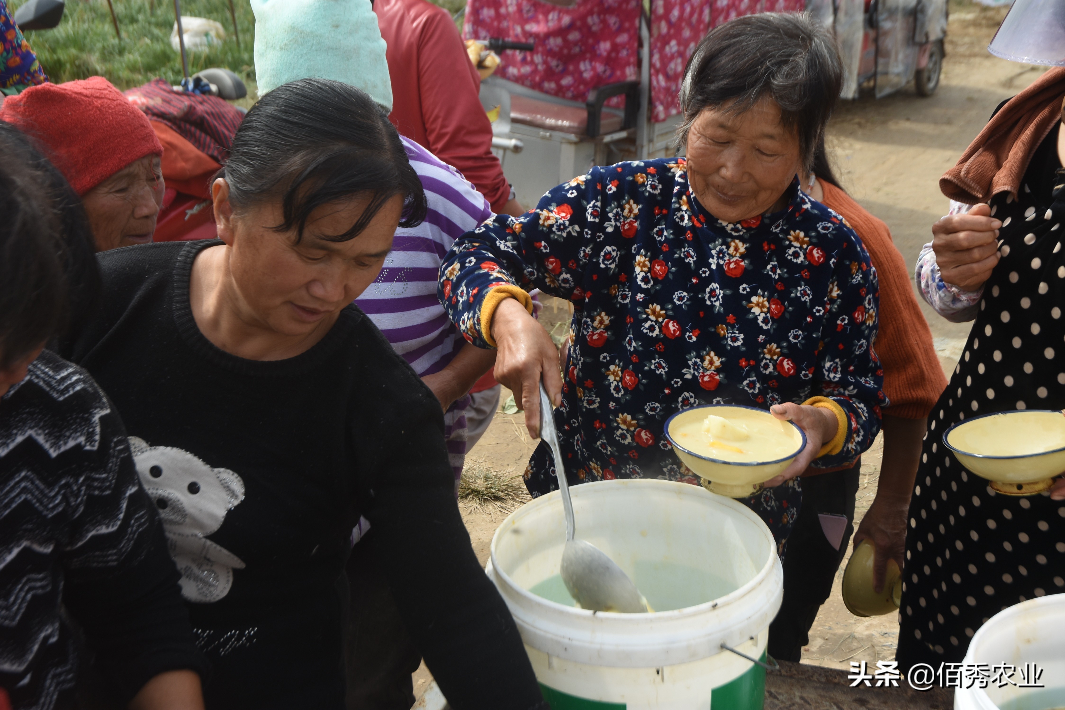 闲不住的农家女,留守妇女在农村种什么赚钱