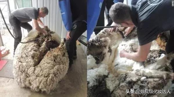 大牌口红三十几块是正品吗,无智商税的口红有哪些牌子