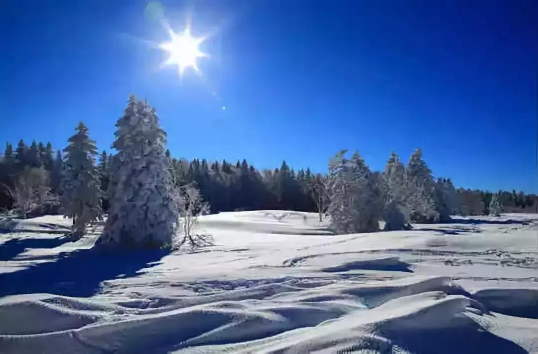 全国各地零食特产一览表,全国各地特产小吃一览表