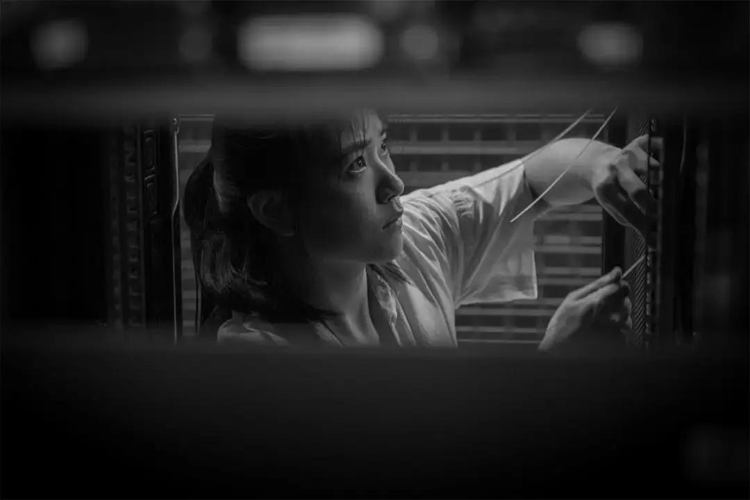 哪吒之魔都电信人传奇