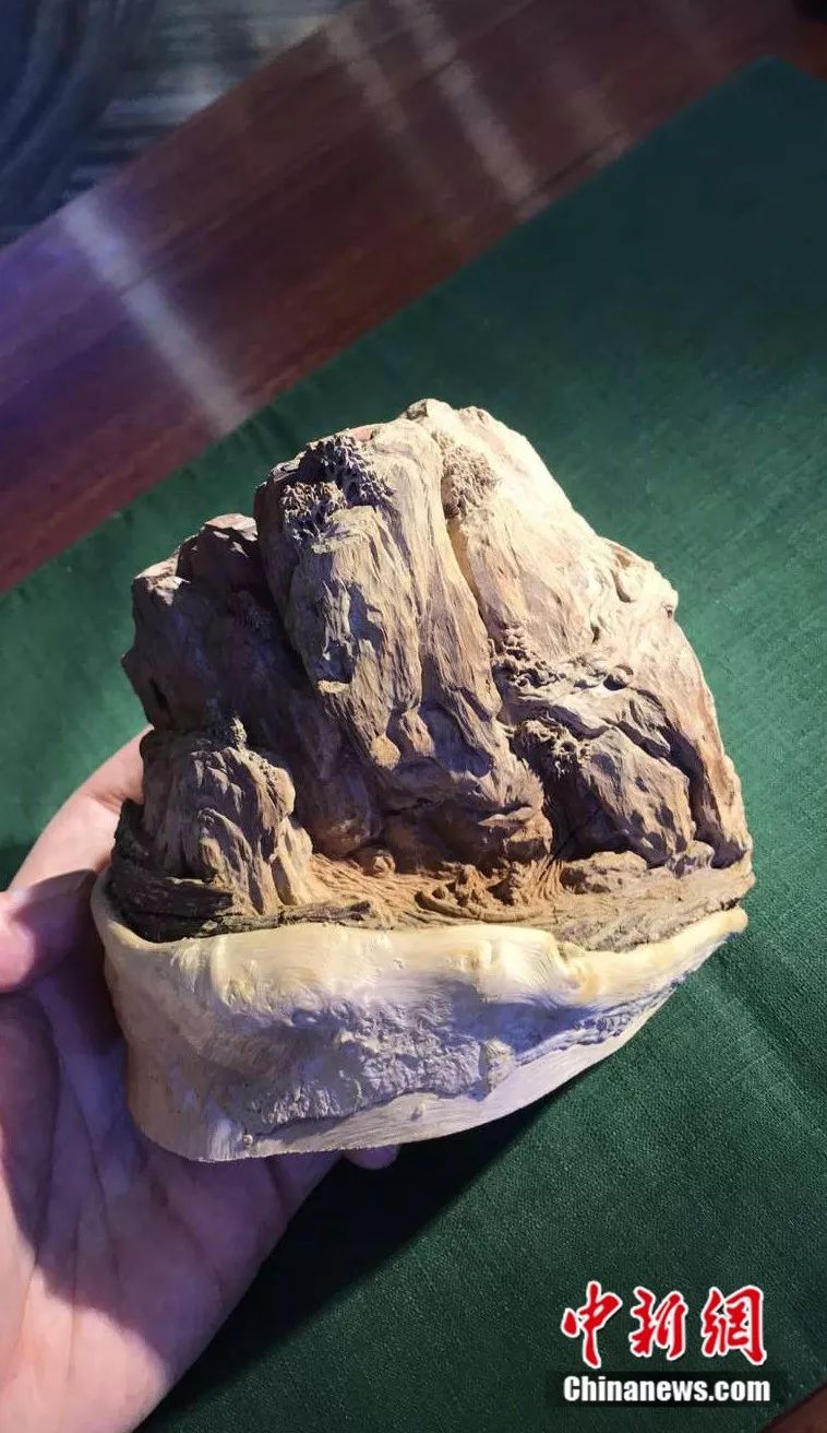 爱你没商量直播吗,爱你没商量海南