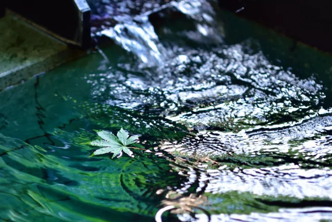 你没听过的温泉乡，竟然还藏着一家罗莱夏朵