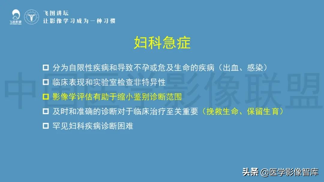 子宫解剖结构输卵管和卵巢位置,子宫附件ct影像学正常解剖表现