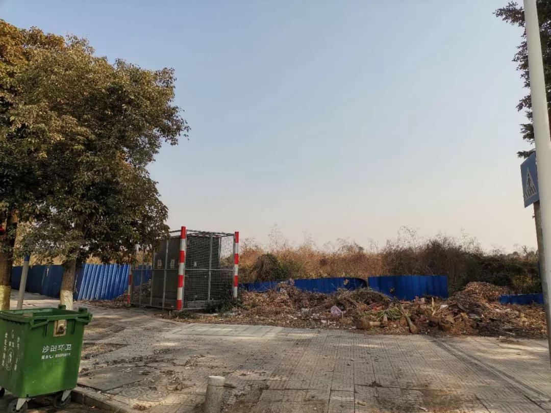 沙田韭菜聚集地，最像投资盘的投资盘