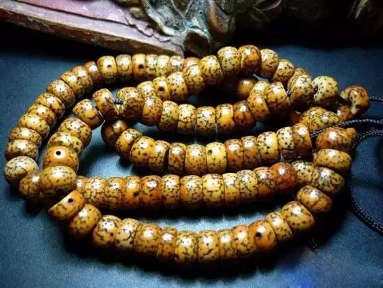 星月越来越黏怎么回事,星月咬手还可以佩戴吗