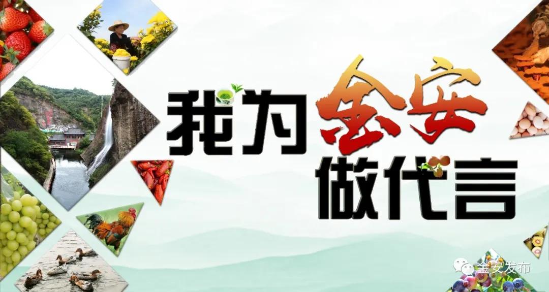 omg疯狂视频,omg疯狂版