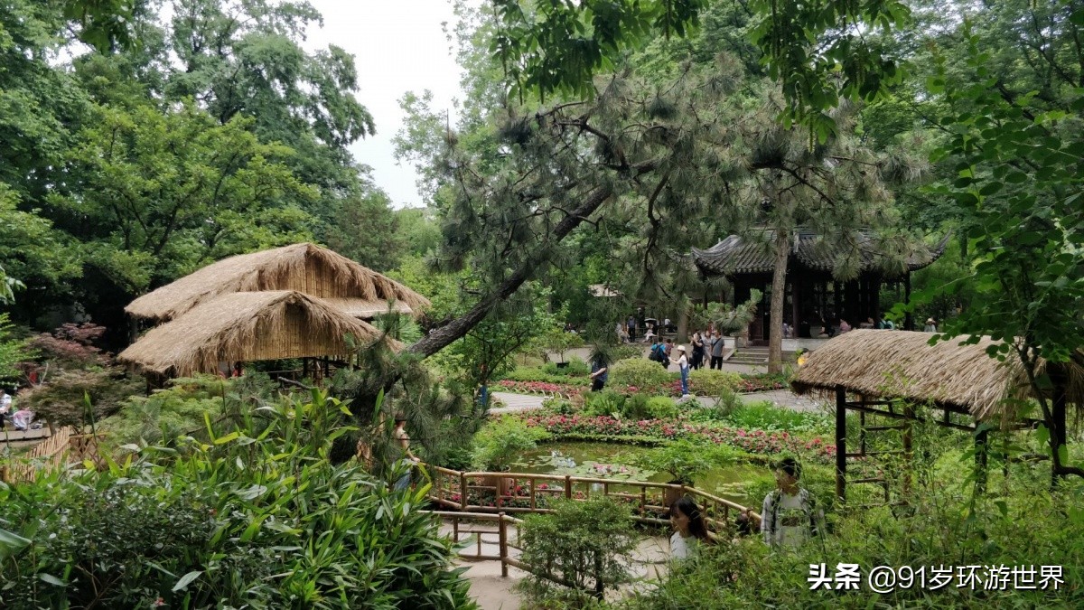 苏州拙政园园林借景,苏州最贵的园林在拙政园旁边