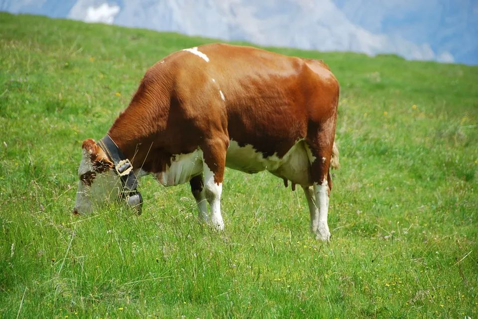 如何寻找焦虑真正需求,学会正确真实的表达自己的需求