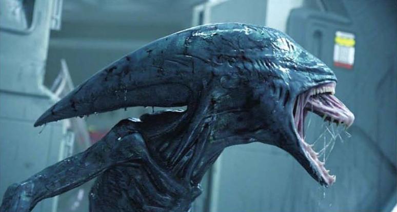 异形到底有多少种形态,异形到底存在吗