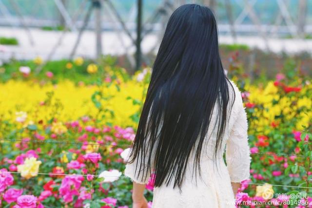 大美新蔡生态水城,大美新蔡等你来