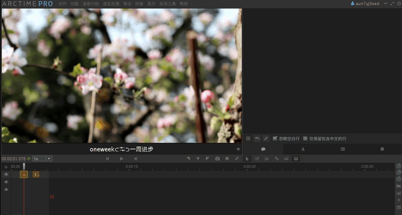 快速制作视频字幕,推荐这款可视化字幕软件给你
