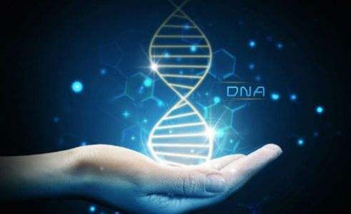 网上的基因检测靠谱吗,市面上的基因检测