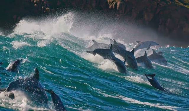 假期儿童纪录片推荐经典,青少年假期推荐纪录片