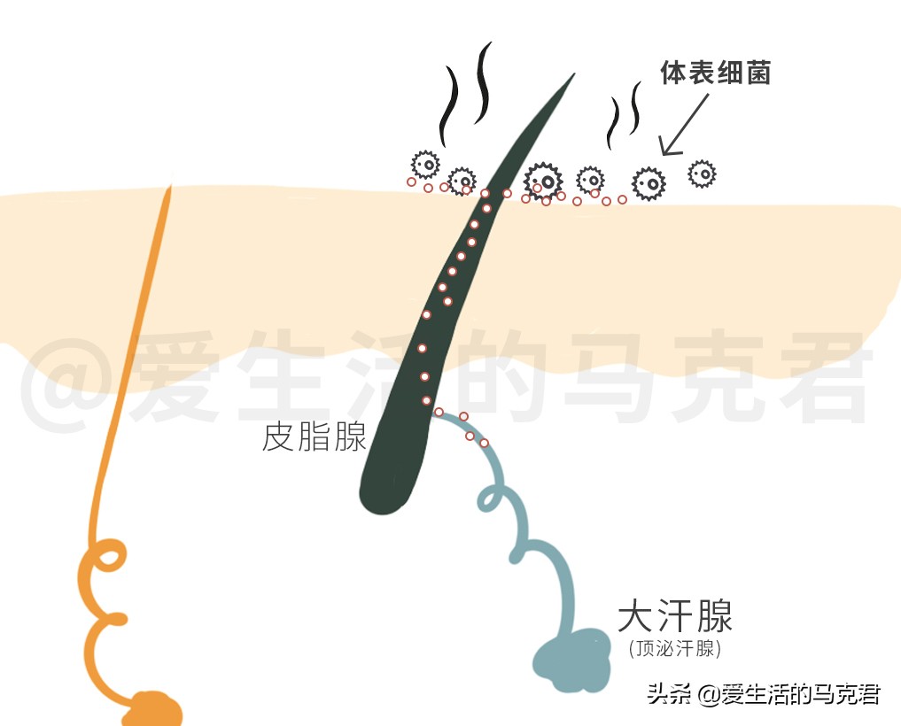 防臭止汗液,好用的止汗露去味