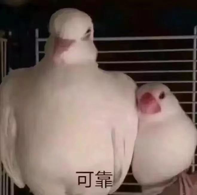 旧化妆包废物利用能装什么,废弃手提包可以diy什么