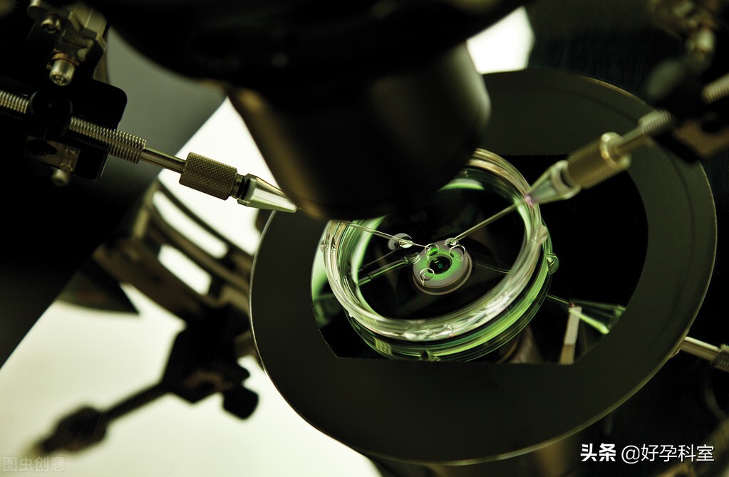 人工授精为什么能够提高成功率,人工授精成功秘诀