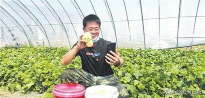 北三家子网红,东北老肥大铁盆