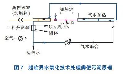 一人一年就产生近300斤粪便,全球70亿人的屎都去哪儿了?