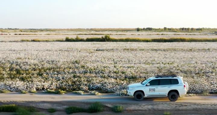 新疆棉花辟谣,辟谣新疆和田