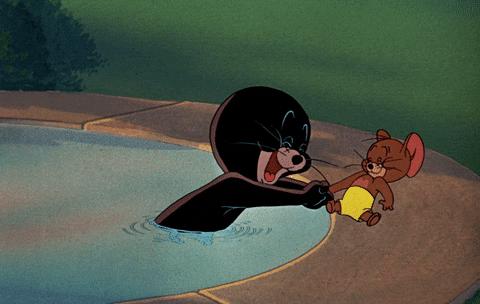 【礼仪常识】第五讲：握手有讲究，你了解多少？