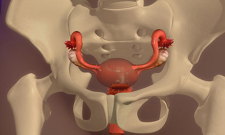 安全套能防止高危hpv感染吗,戴安全带也会感染hpv吗