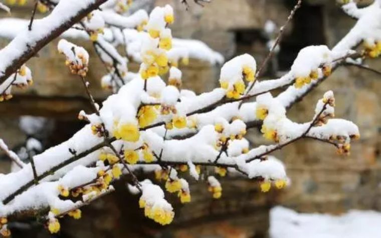 春节三天两晚自由行,假期轻松愉悦的玩耍