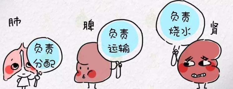 孩子胆子小是身体缺啥,孩子胆子小是父母的错